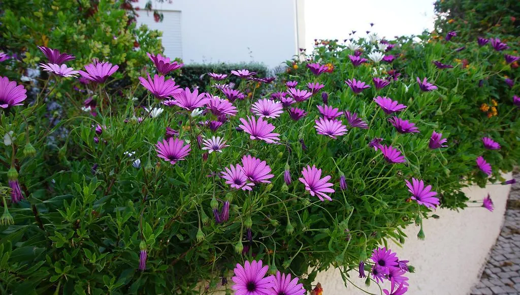 Fiph Rotunda Park - Portimao Hotel Portugal